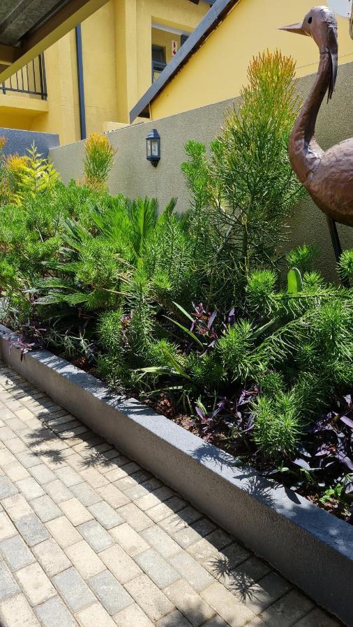 Salas Stay, Midrand Exteriör bild
